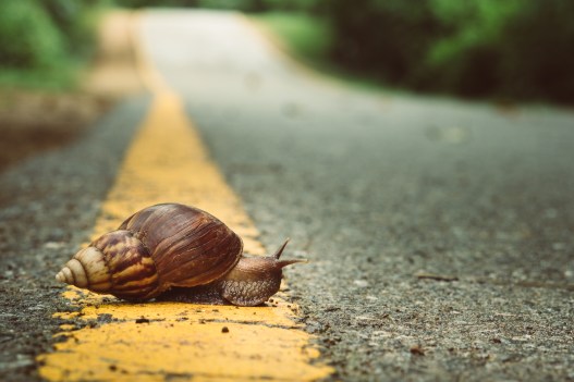 Even 10 Minutes of “Slow Running” Can Give Your Brain a Boost