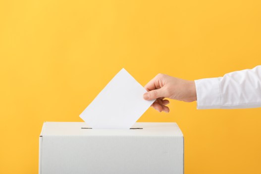 Envy at the Ballot Box