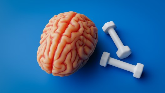 Muscle Loss is a Big Warning Sign of Dementia
