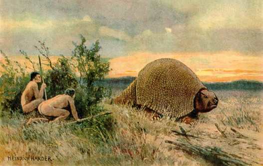 New Species of Giant Armadillo Has Convoluted History