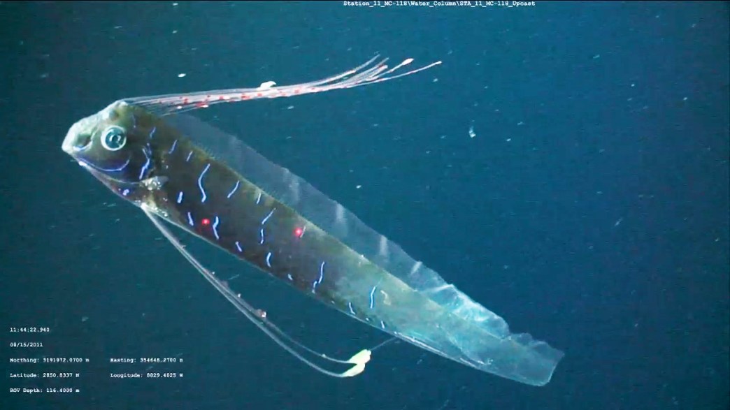 This Real-Life Sea Monster is Controlled by Joysticks