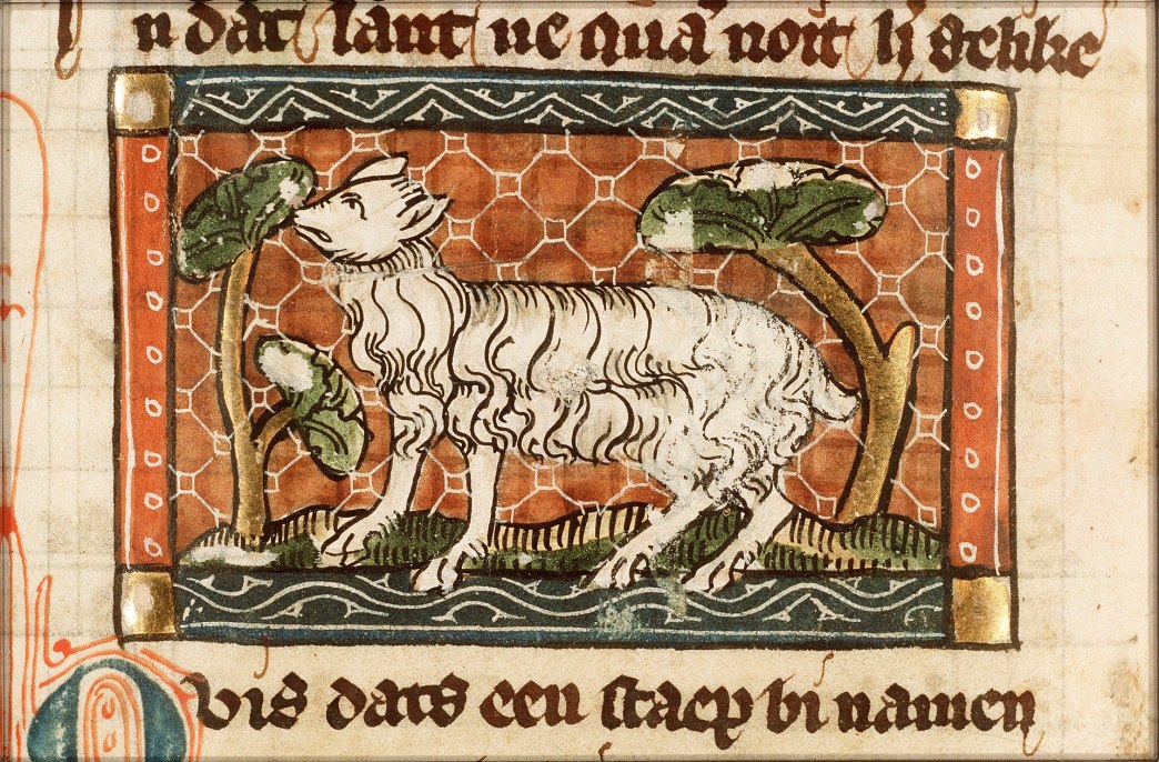 Deadly Livestock Virus Found Lurking in Ancient Texts