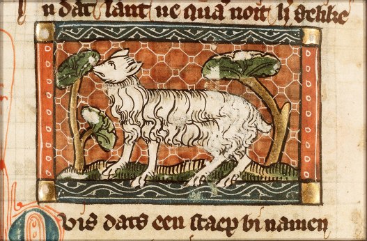 Deadly Livestock Virus Found Lurking in Ancient Texts
