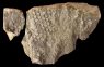 What’s Creating These Mysterious Seafloor Hexagons?