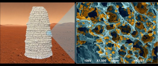 Genetically Engineered Yeast Could Transform Martian Soil into Living Building Materials
