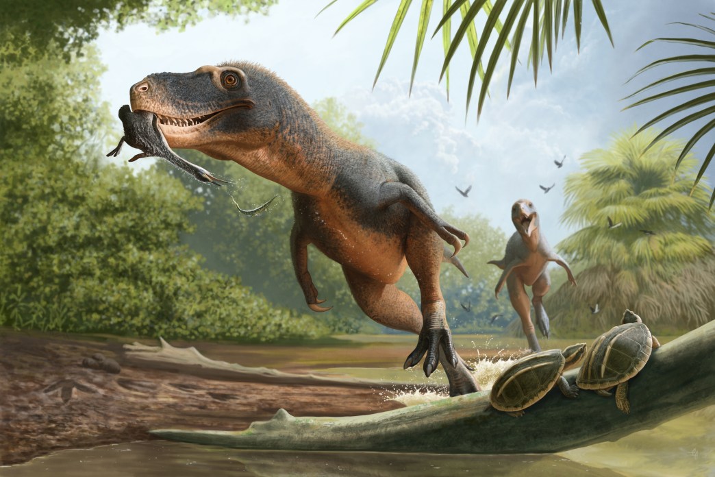 How Did Birds Outlive the Other Dinosaurs?