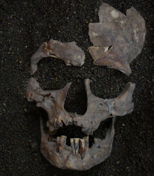 The Oldest Evidence of Drug Use is Also a Story About Addiction