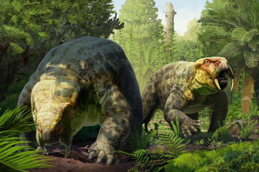 The Ancient Mammal That Changes Our Understanding of Dinosaur Origins