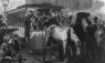 How a Horse Flu Outbreak Spurred an Early Animal Rights Crusade