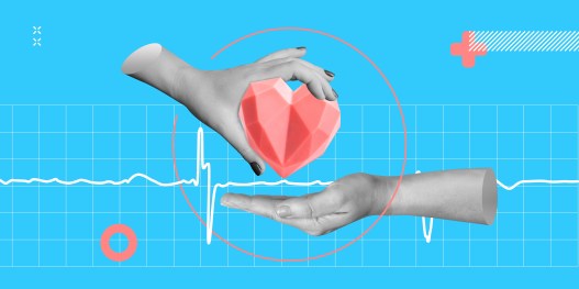 Do Transplanted Hearts Assume the Age of Their New Host?