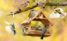 What Bird Feeding Has to Do with Happiness