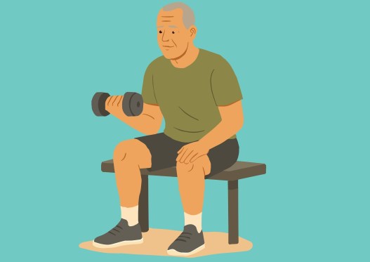 Can a Drug Reverse Age-Related Muscle Weakness?