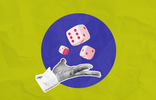 How Your Brain See-Saws between Risk and Reward