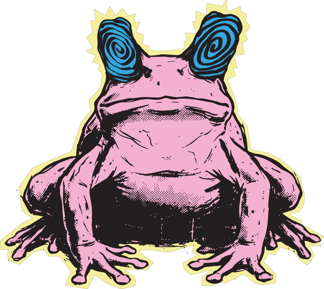 The Promise and Peril of Toad Smoking, the Everest of Psychedelics