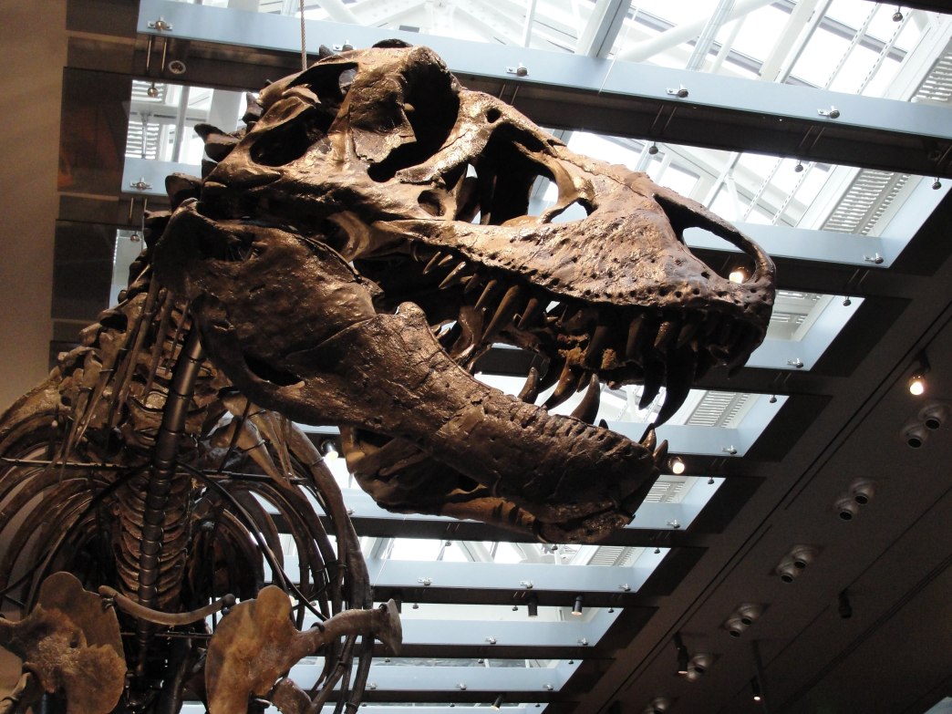 We Finally Know Tyrannosaurus Rex’s Body Temperature