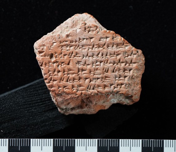 This Is the Oldest Peace Treaty Ever Discovered