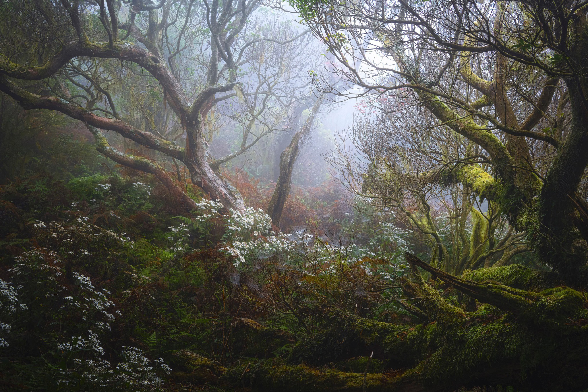 Check Out the Natural Beauty of the Natural Landscape Photography