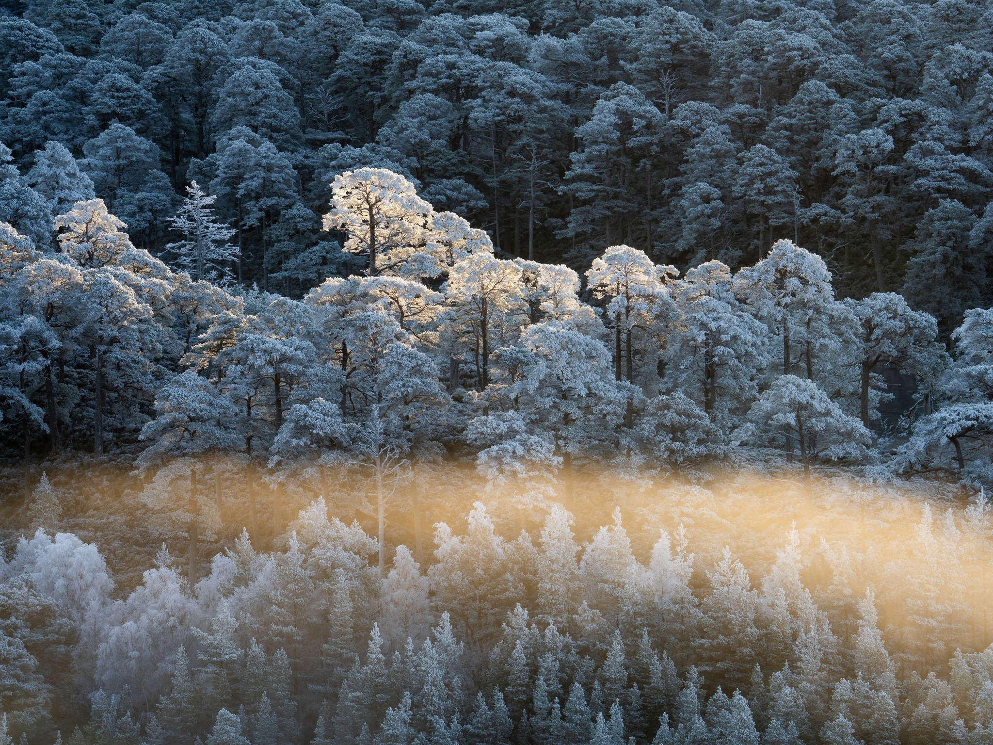 Check Out the Natural Beauty of the Natural Landscape Photography
