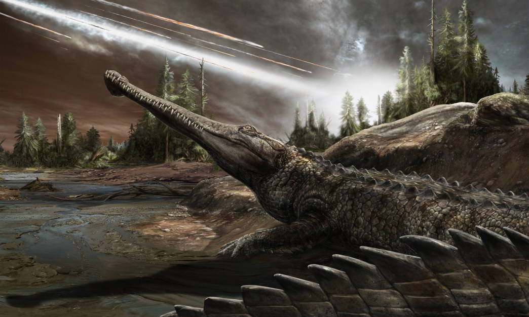 How Crocodiles Survived the Asteroid That Killed the Dinosaurs