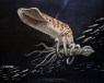 This Bizarre Jurassic “Squid” Swam the Ancient Seas of Wyoming