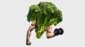 Men Who Eat More Plant-Based Protein Have Higher Testosterone Levels