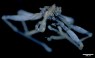 There’s a New Sea Spider in Town