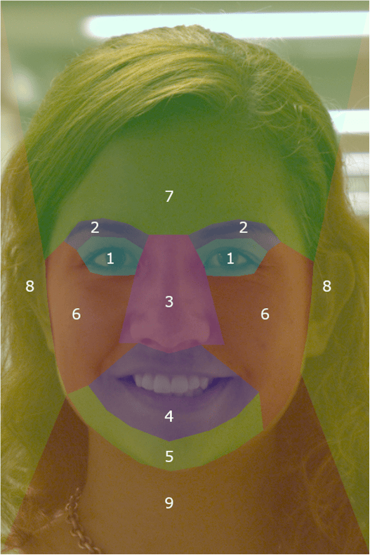 Forensic Facial Specialists Can Identify People Using Just a Couple Facial Features