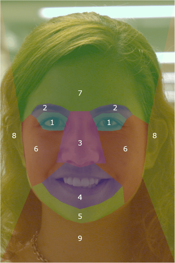 Forensic Facial Specialists Can Identify People Using Just a Couple Facial Features