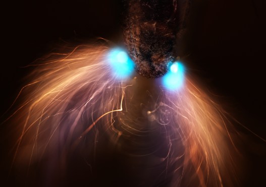 Can You Recognize the Subject of This Year’s Microscopic Photography Contest Winner?