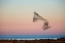 Dear Human, Poetry Might Save Us from the Apocalypse
