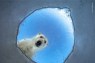 The Wildlife Photo of the Year May Break Your Heart