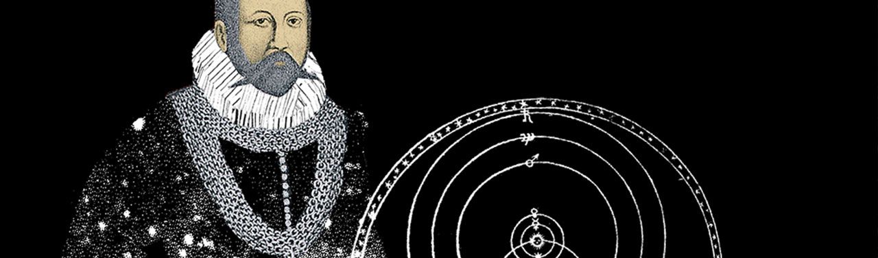 Chambered_Nautilus_1280x376.jpg