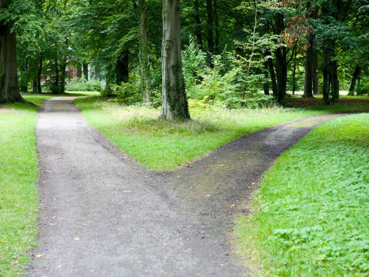 Forked path