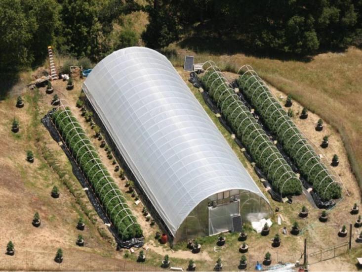 Marijuana grow operation Humboldt County