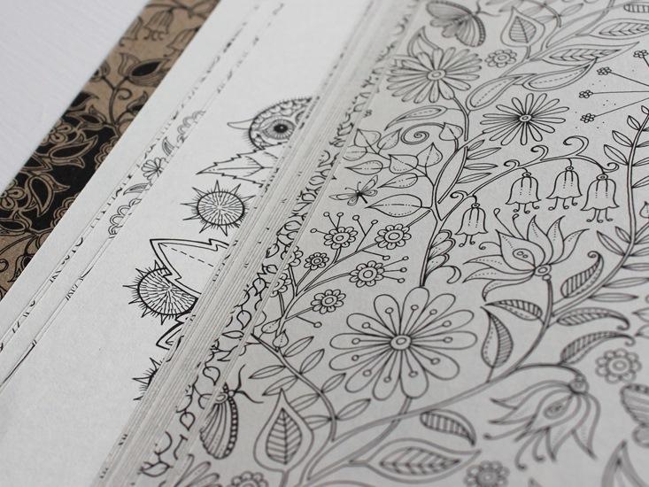Secret Garden adult coloring book hero