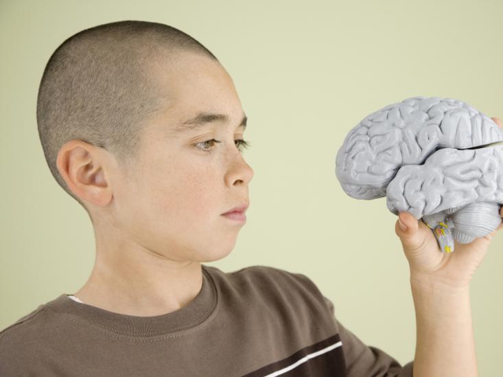 kidholdingbrain