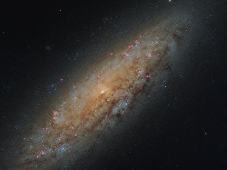 ngc 6503 galaxy