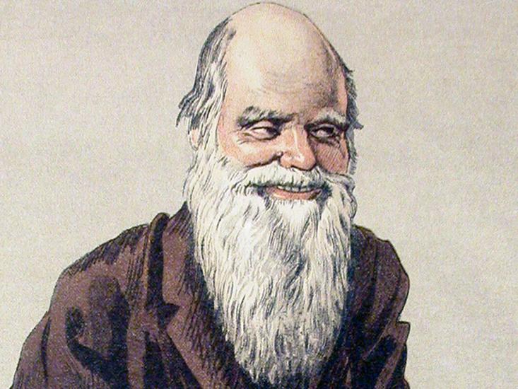 darwin vanity fair