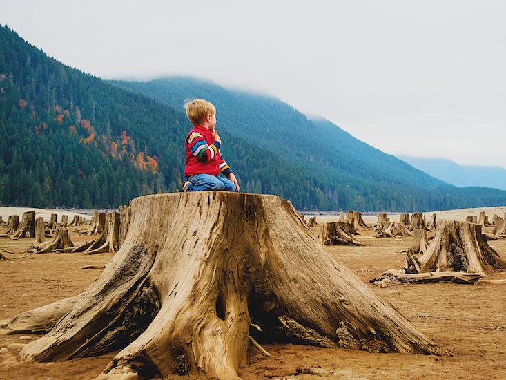 kid on stump HERO