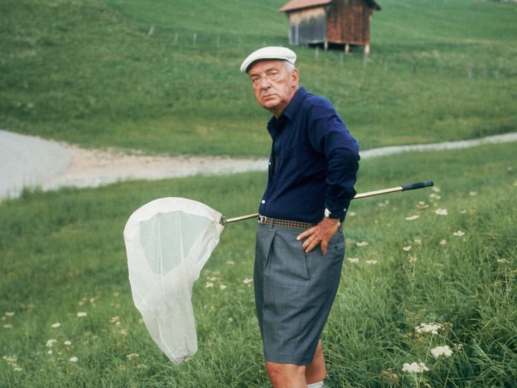 Nabokov butterfly net_HERO