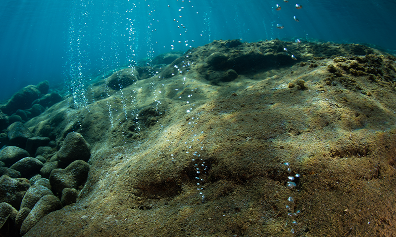From Deep Blue Mud, Unexpected Life Emerges