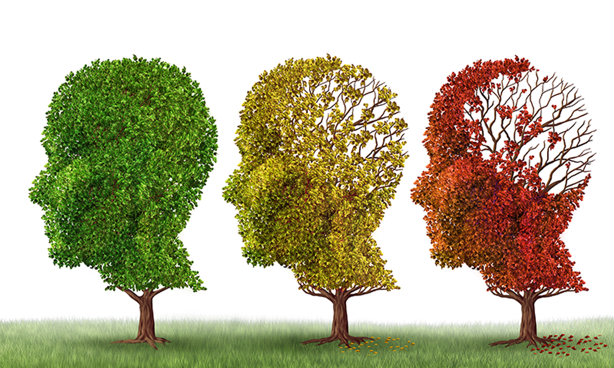 A set of three trees shaped like brains, fading from green to yellow to red, losing leaves along the way.
