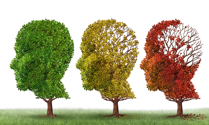 The Five Eras of the Human Brain