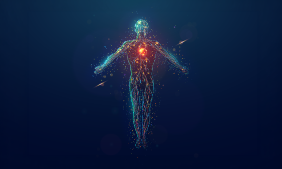 Cover image for The Secret Life of Neurotransmitters