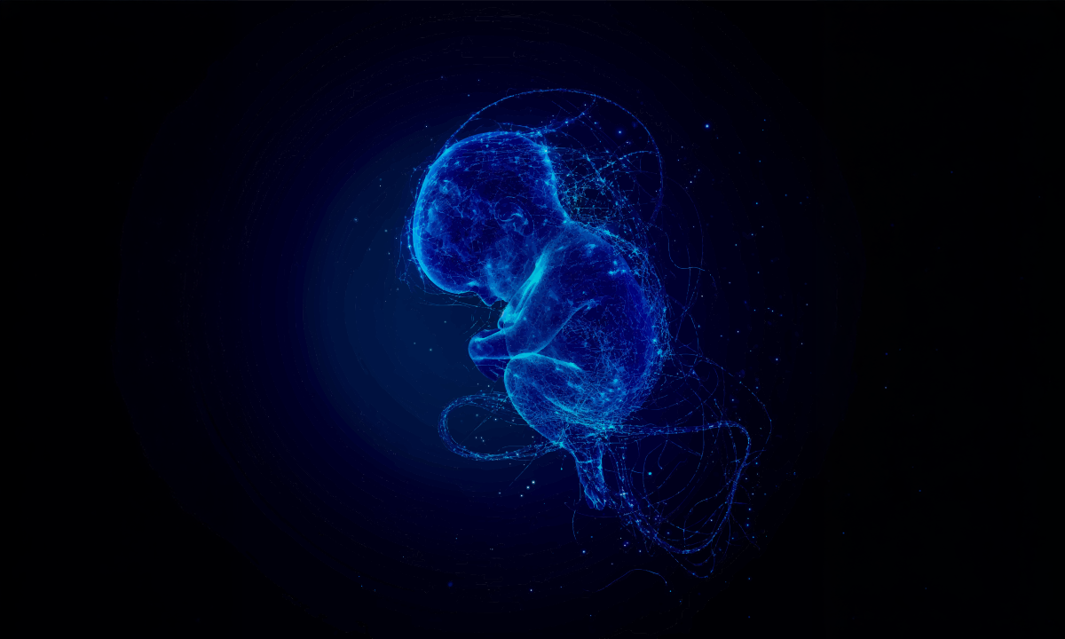 Babies are exposed to more forever chemicals in utero than previously thought