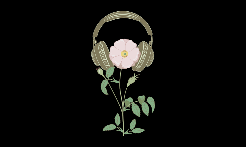 Scientists and Musicians Have Puzzled Over Whether Plants Can Hear since  Darwin, and the Final Answer Seems to be Yes