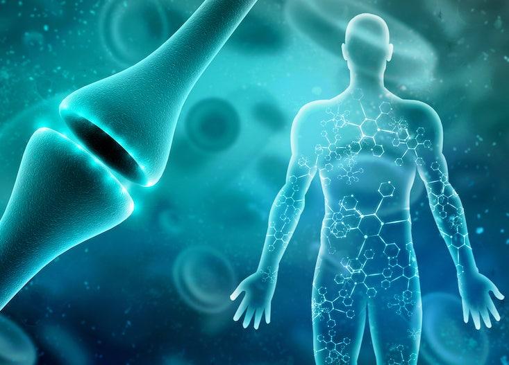 https://nautil.us/the-link-between-bioelectricity-and-consciousness-238148/ social preview image