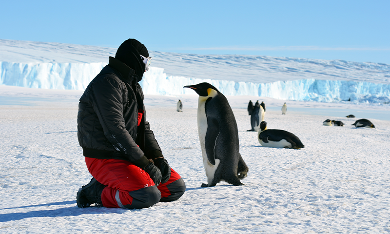 An Ark for Antarctica - Nautilus